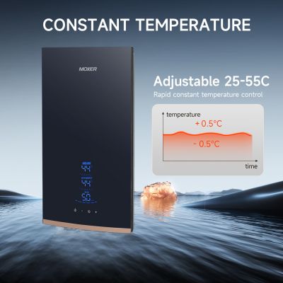 Fabricante de aquecedor de água elétrico inteligente sem tanque de 220 V